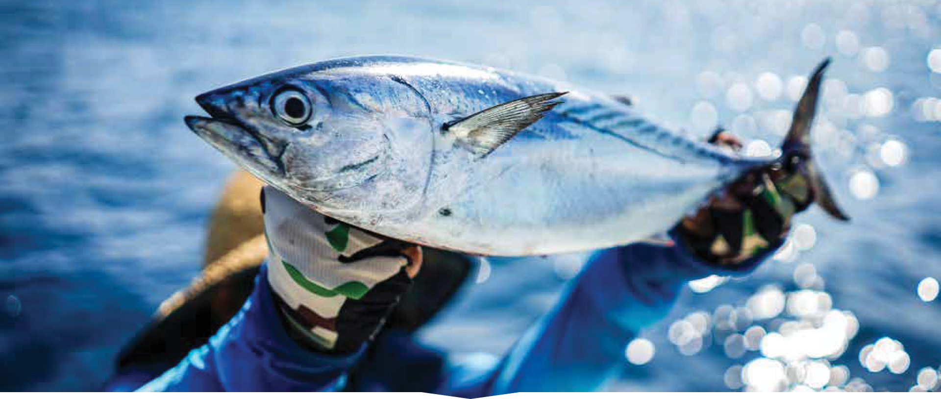 It starts from our generous East Sea, Vietnam